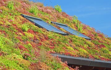 Toynton Fen Side living roof systems