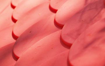 Toynton Fen Side plastic roof costs