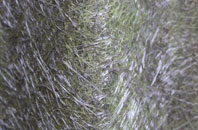 Toynton Fen Side fibreglass roof work